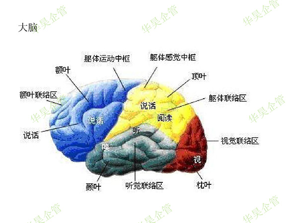 生產(chǎn)計劃|如何理解“計劃指揮生產(chǎn)”